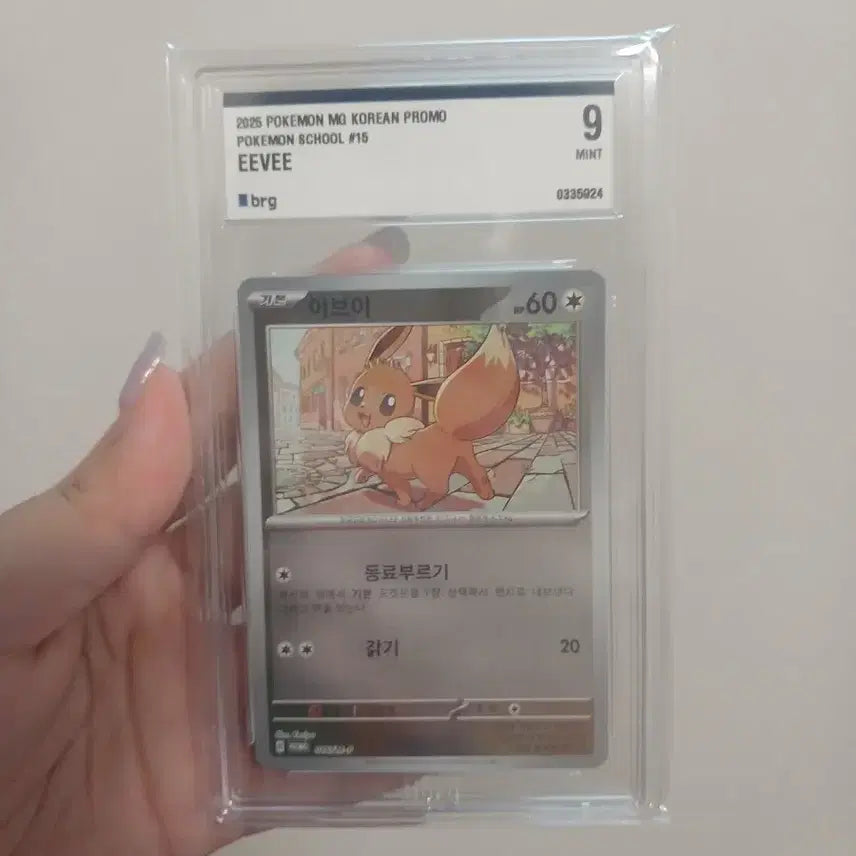 [BUNJANG] Pokemon School Eevee Card BRG 9 / 포켓몬스쿨 이브이 카드 brg 9