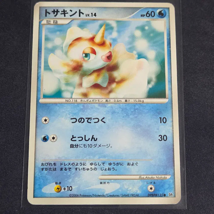 [BUNJANG] Japanese DP Pokemon Card Konchi / [포켓몬 카드] 일판 dp 콘치