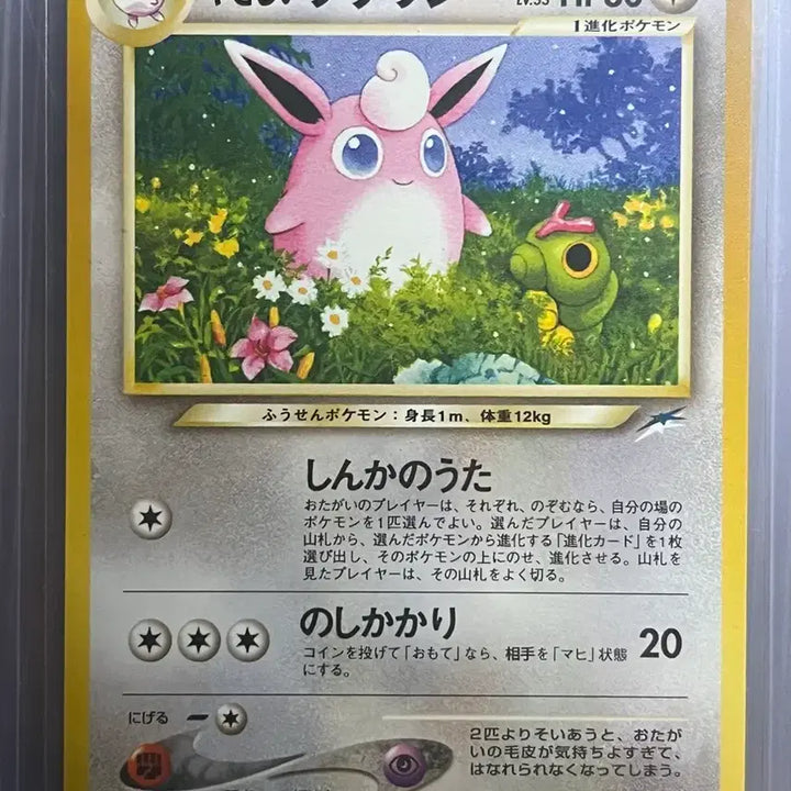 [BUNJANG] Various Pokémon Cards Bundle Set / 야사시이 올드백 포켓몬카드 (일괄)