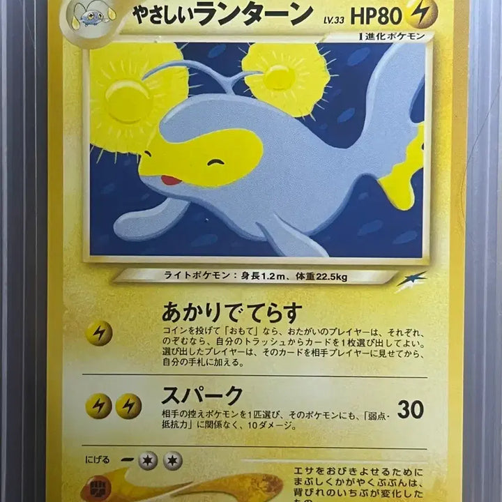 [BUNJANG] Various Pokémon Cards Bundle Set / 야사시이 올드백 포켓몬카드 (일괄)