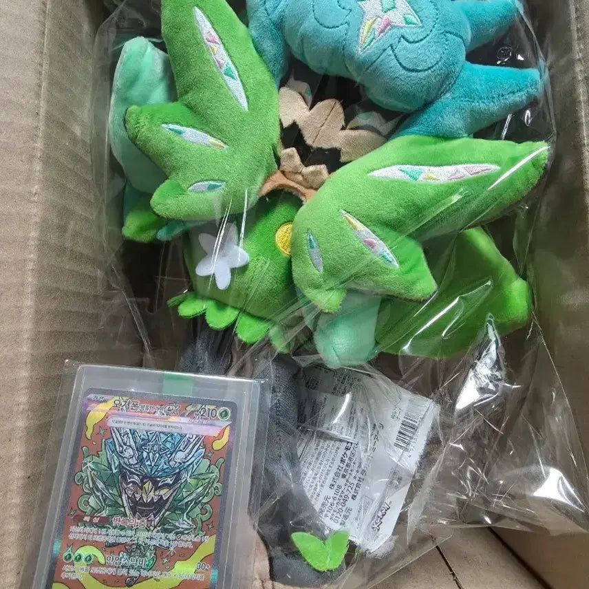 [BUNJANG] Pokemon Ogerpon Plush Toy + Walking Wake SAR Card / 포켓몬 오거폰 봉제인형 + 벽록의가면 SAR