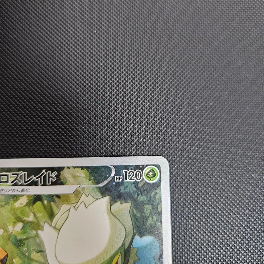 [BUNJANG] Pokemon Card Roserade chr Yuchae / 일판 포켓몬카드 로즈레이드 chr 유채