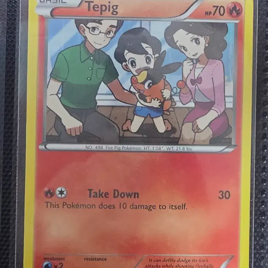 [BUNJANG] North American Edition Ebb Pokémon Card Ancient Series / 북미판 뚜꾸리 ebb 포켓몬카드 고전 고대