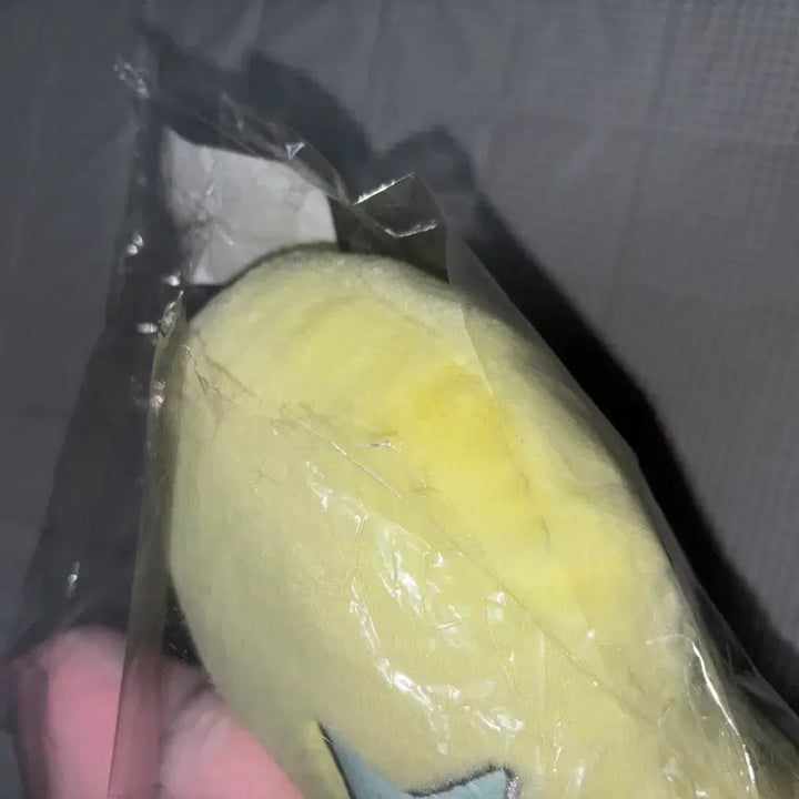 [BUNJANG] NCT WISH Pop-Chew Cushion WISH Ver. MD / 미개봉 엔시티위시 팝츄 쿠션 위츄 팝팝 엠디 양도 판매