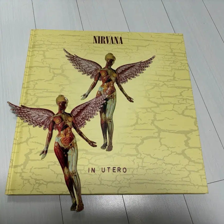 [BUNJANG] Nirvana In Utero 20th Anniversary Edition CD/DVD Set / 너바나 (Nirvana) In Utero 20주년 앨범팝니다