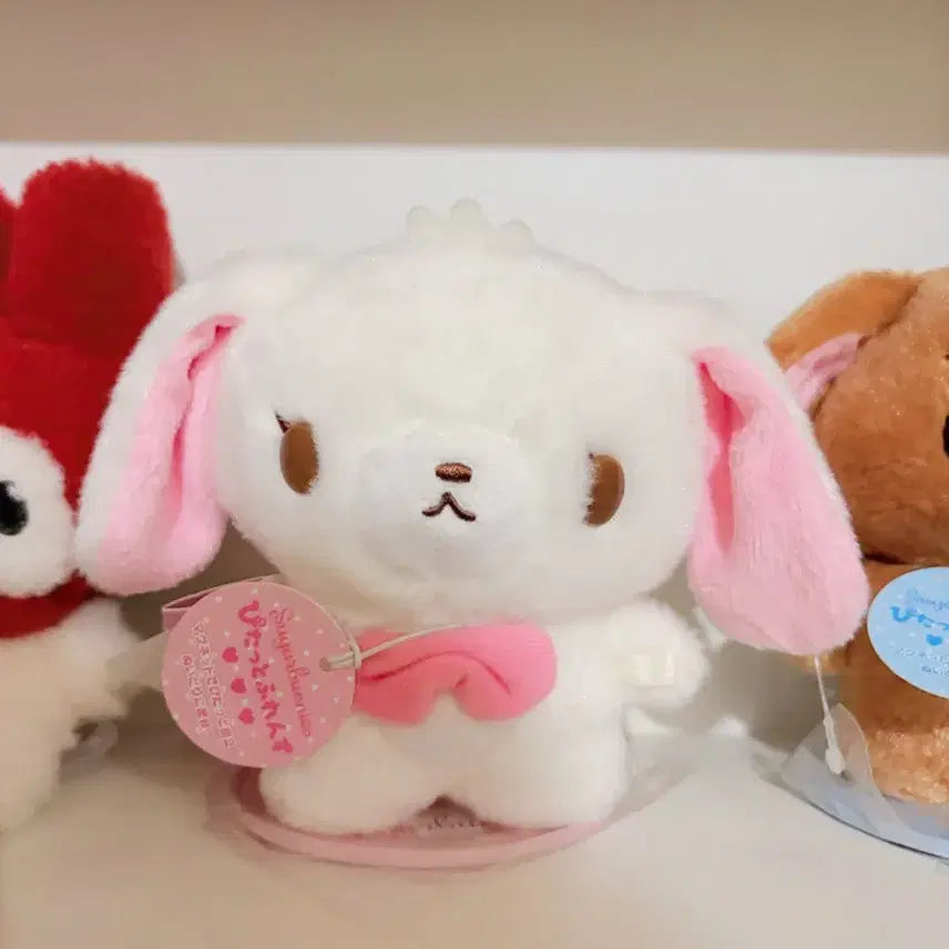 [BUNJANG] Sugarbunnies Pitatto Friends Bundle Set / 슈가버니즈 일괄 피닷토