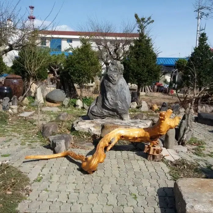 [BUNJANG] Natural Stone and Zelkova Root Art Installation / 자연석 및 느티나무뿌리