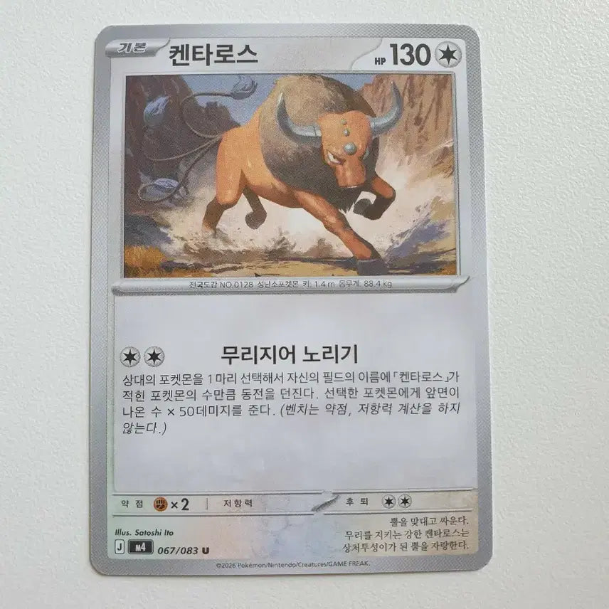 [BUNJANG] Kentauros Pokemon Card / 켄타로스 포켓몬카드