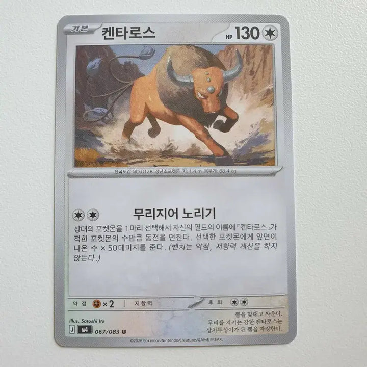 [BUNJANG] Kentauros Pokemon Card / 켄타로스 포켓몬카드