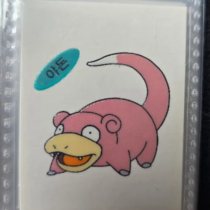 [BUNJANG] 1999 First Edition Pokemon &