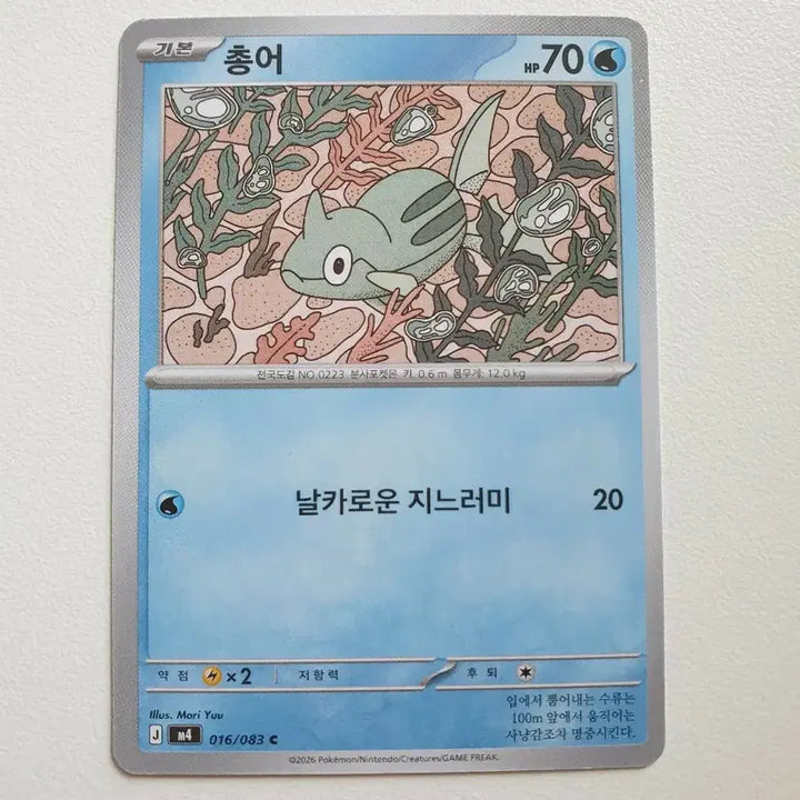 [BUNJANG] Pokemon Card - Totodile / 총어 포켓몬카드
