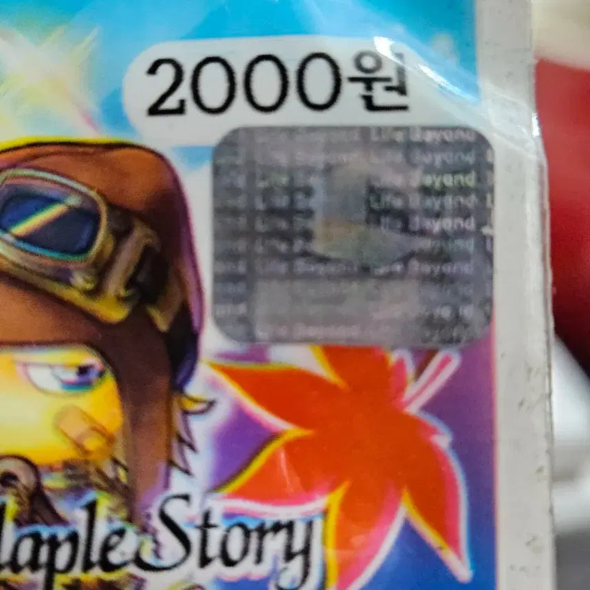 [BUNJANG] MapleStory 2004 Winter Mask / 22년된 메이플스토리 방한건강마스크 2004년 생산 
