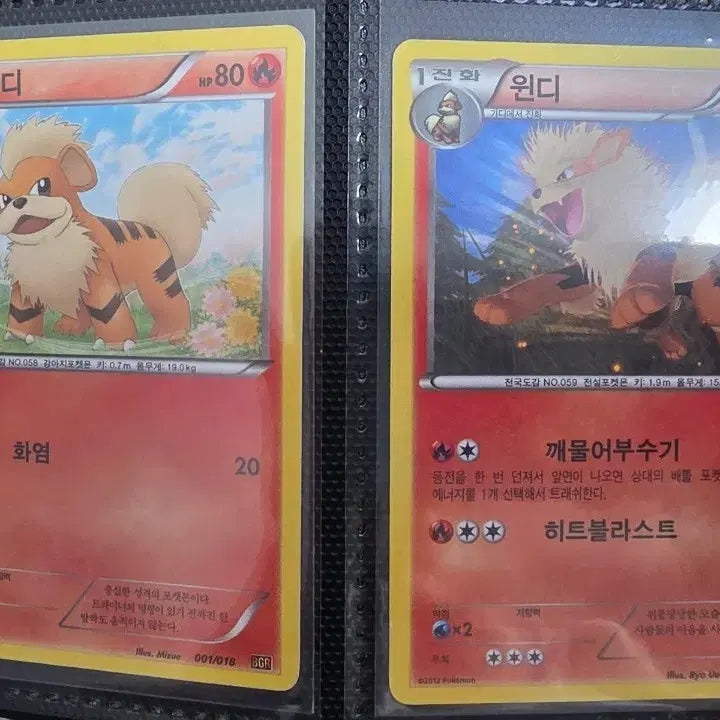 [BUNJANG] Pokemon Card Arcanine Bundle Vintage Rare 2013 / 포켓몬카드 가디/윈디 일괄 bgr 고전 고대 빈티지 희귀 2013년