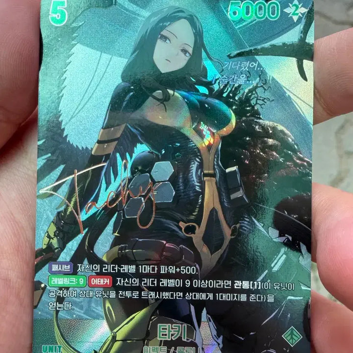 [BUNJANG] Nibel Arena Card Bundle / 니벨아레나 카드 묶음으로 팝니다