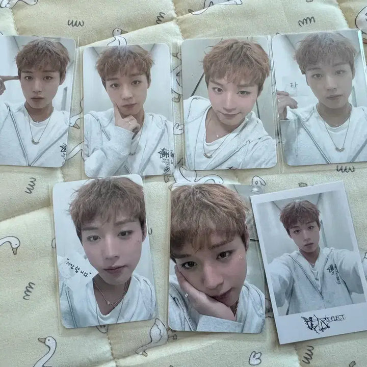 [BUNJANG] Park Ji Hoon Photocard Bundle Set / 박지훈 포카 일괄판매