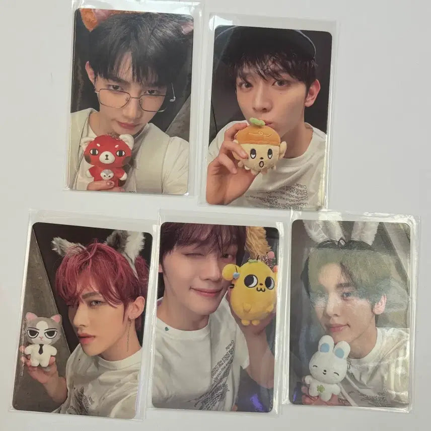 [BUNJANG] NCT NCTzen Fanclub Photocard Bundle Set / 앤더블 앤버스 팝업 5만원 포카 5장 일괄 양도