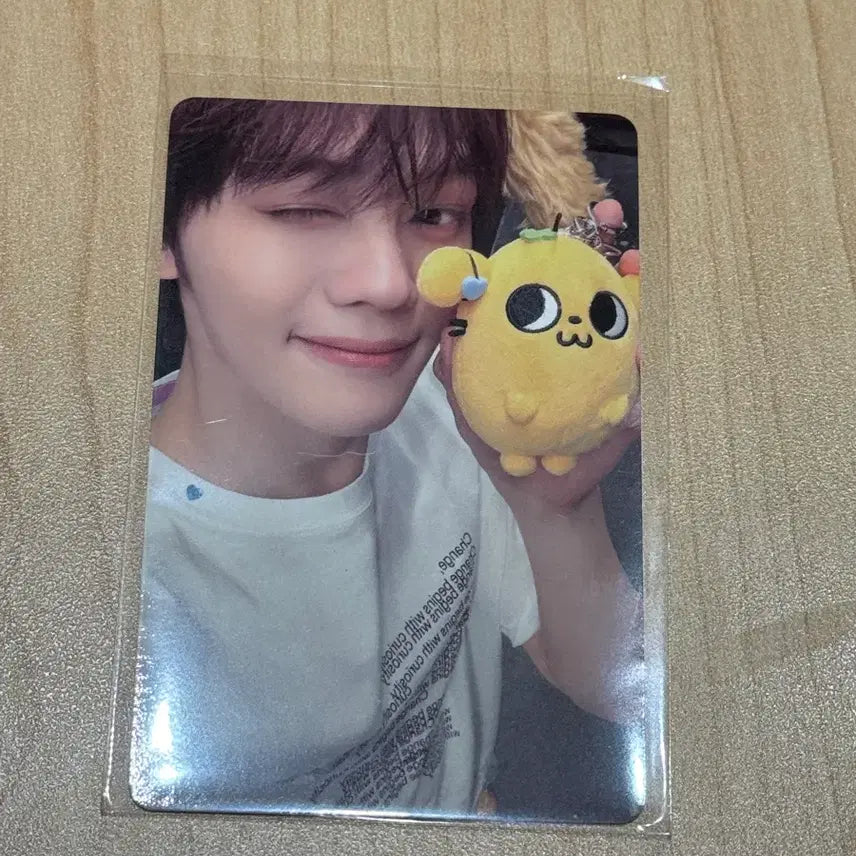 [BUNJANG] ZB1 Kim Gyuvin Popup Photocard / 앤더블 김규빈 팝업 5만원 포토카드