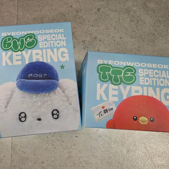 [BUNJANG] Byun Woo Seok Plush Doll / 변우석 인형(무료배송)