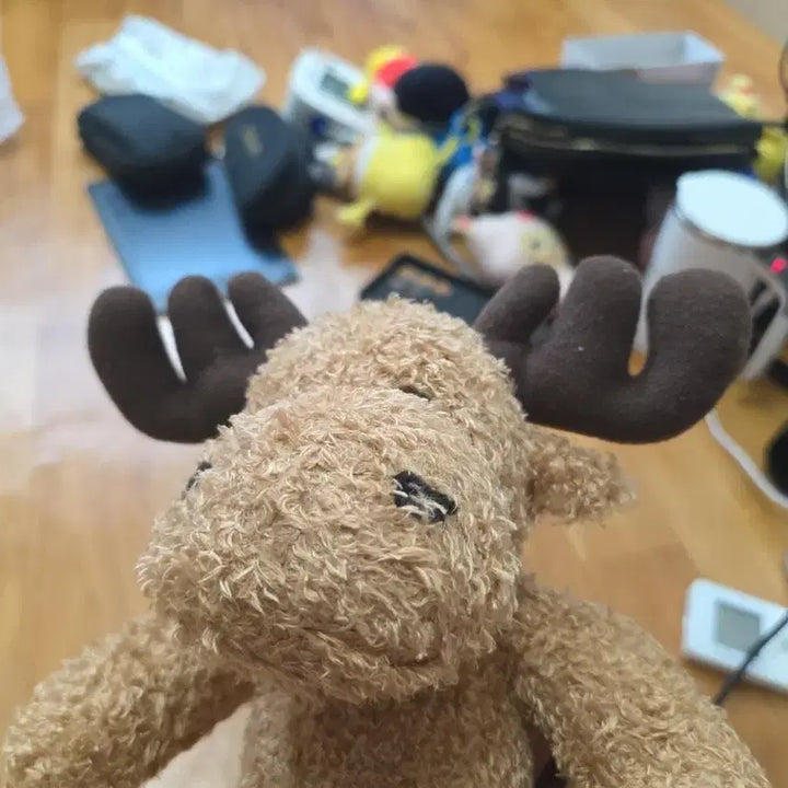 [BUNJANG] Brown Moose Stuffed Animal with Large Antlers / 갈색 무스 순록 사슴 봉제인형 큰뿔 동물인형