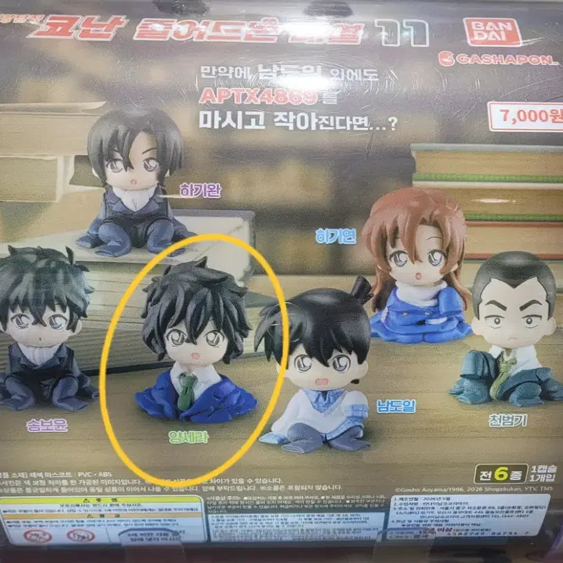 [BUNJANG] Detective Conan Masumi Sera Chizimase Plush / 명탐정코난 치지마세 세라 마스미