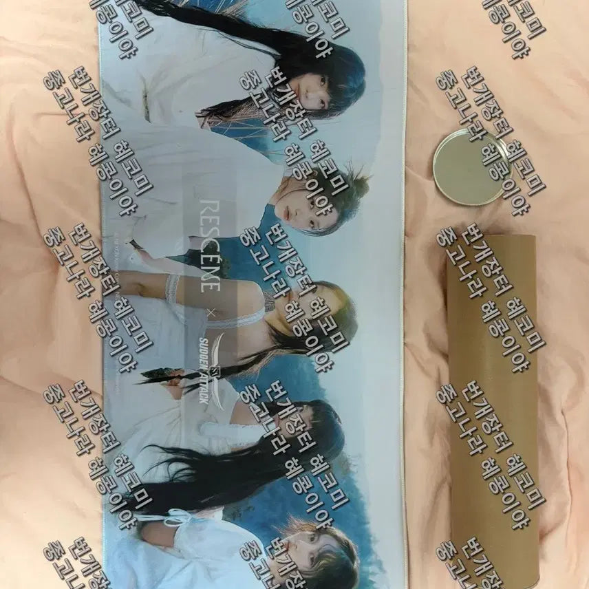 [BUNJANG] Sudden Attack x Le Senne Mousepad / 서든어택x리센느 마우스패드 판매합니다.(싸인x)