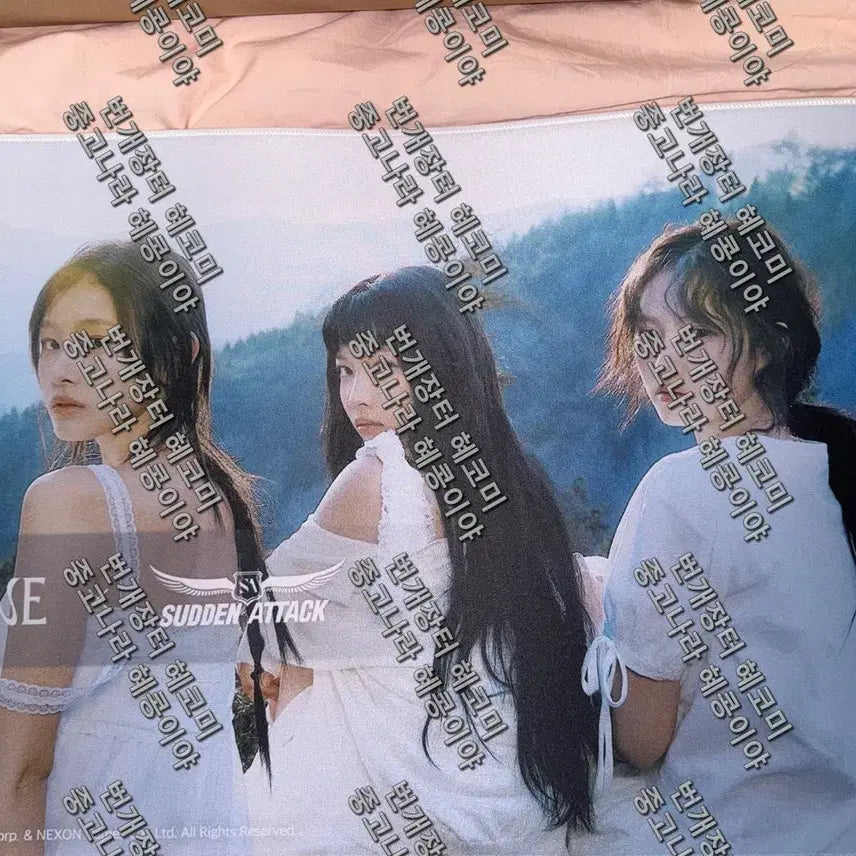 [BUNJANG] Sudden Attack x Le Senne Mousepad / 서든어택x리센느 마우스패드 판매합니다.(싸인x)