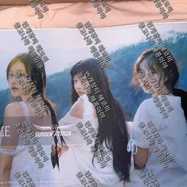 [BUNJANG] Sudden Attack x Le Senne Mousepad / 서든어택x리센느 마우스패드 판매합니다.(싸인x)