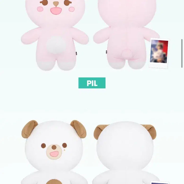 [BUNJANG] Day6 Jae Photocard / 데이식스 자쁘멀 방케필돈
