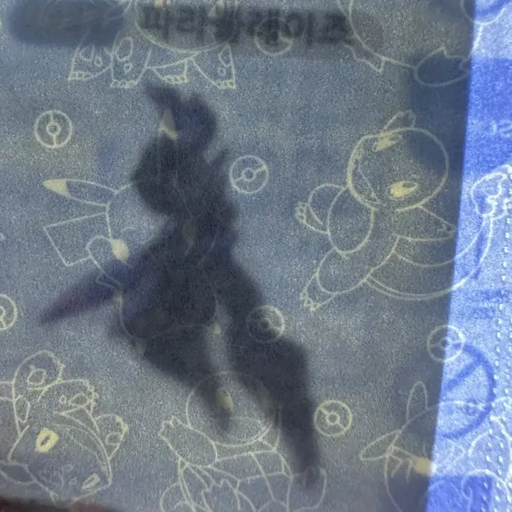 [BUNJANG] Pokemon 30th Anniversary Parablaze Sticker / [미개봉 새상품] 포켓몬 30주년 띠부씰 스티커 파라블레이즈