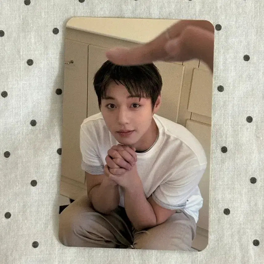 [BUNJANG] Park Jihoon P.O.R.T Photocard / 박지훈 포맨트 포카 포토카드 윙냥