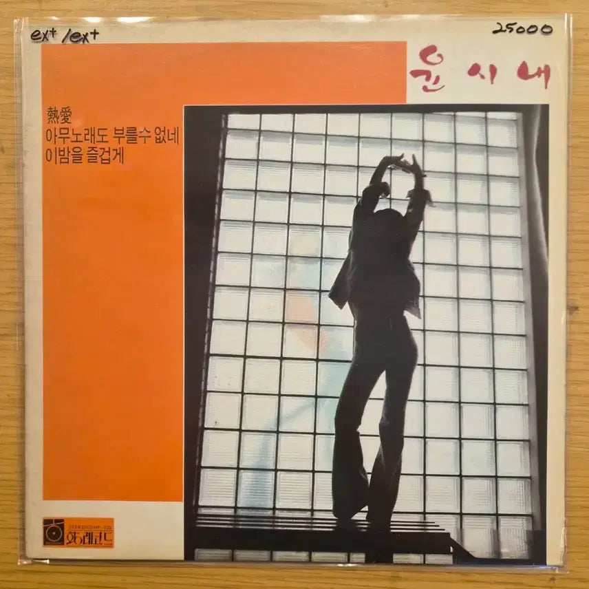 [BUNJANG] Yoon Soo Na LP / 윤시내 lp