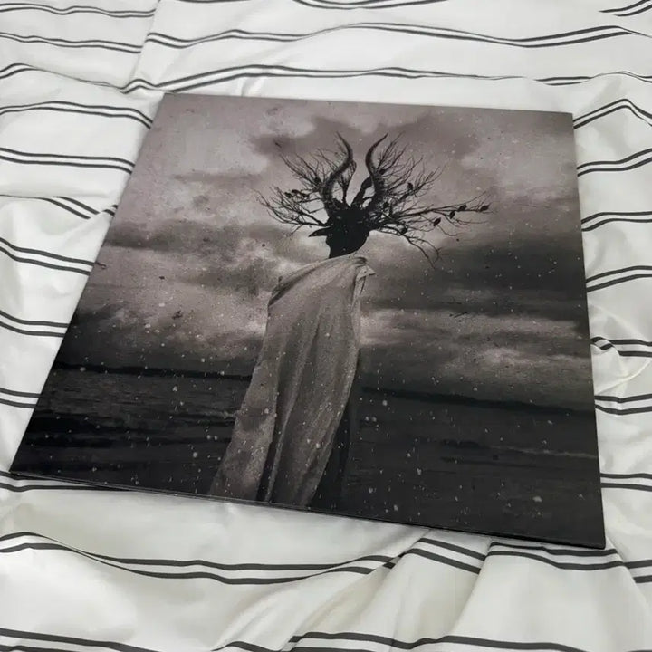 [BUNJANG] Thornapple 3rd Album Enlightenment LP (Opened) / 쏜애플 3집 LP 개봉반 2021 덴마크