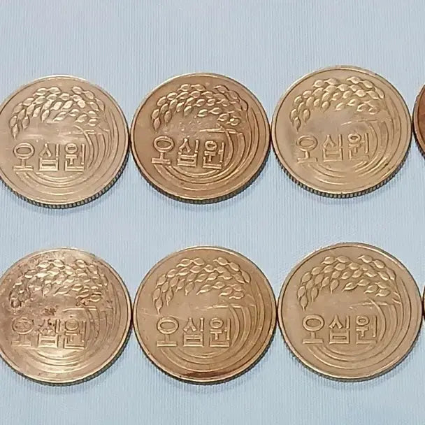 [BUNJANG] 1981 50 Won Coin Bundle Set (10 pcs) / 1981년 50원 동전 10개 일괄