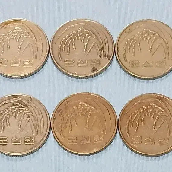 [BUNJANG] 1983 50 Won Coin Bundle Set (10 Coins) / 1983년 50원 동전 10개일괄