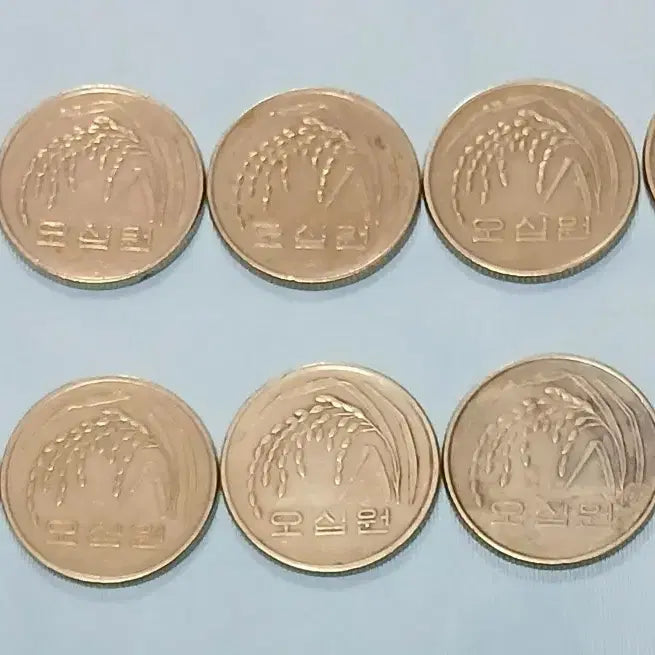 [BUNJANG] 1984 50 Won Coin Bundle (10 pcs) / 1984년 50원동전 10개 일괄