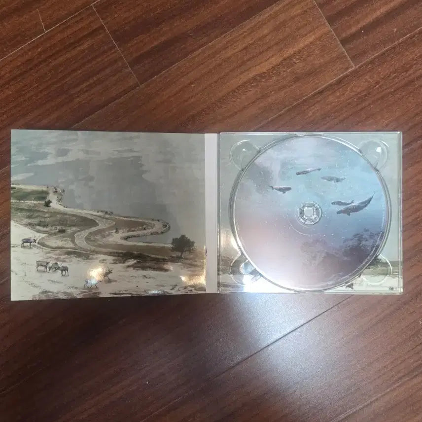 [BUNJANG] J_TUNE "Baekya" Album / 가수 짙은 - 백야 앨범 판매합니다