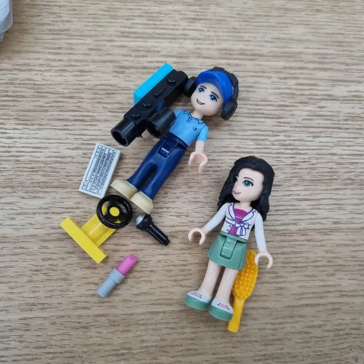 [BUNJANG] LEGO Friends 41056 Play Set / (특가) 레고 프렌즈 41056