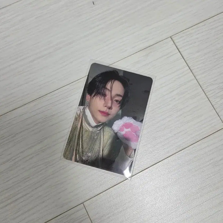 [BUNJANG] Alfadrive1 Kuma Paw Sanwon Photocard POB / 알파드라이브원 알디원 상원 쿠마발바닥 포카 미공포 양도