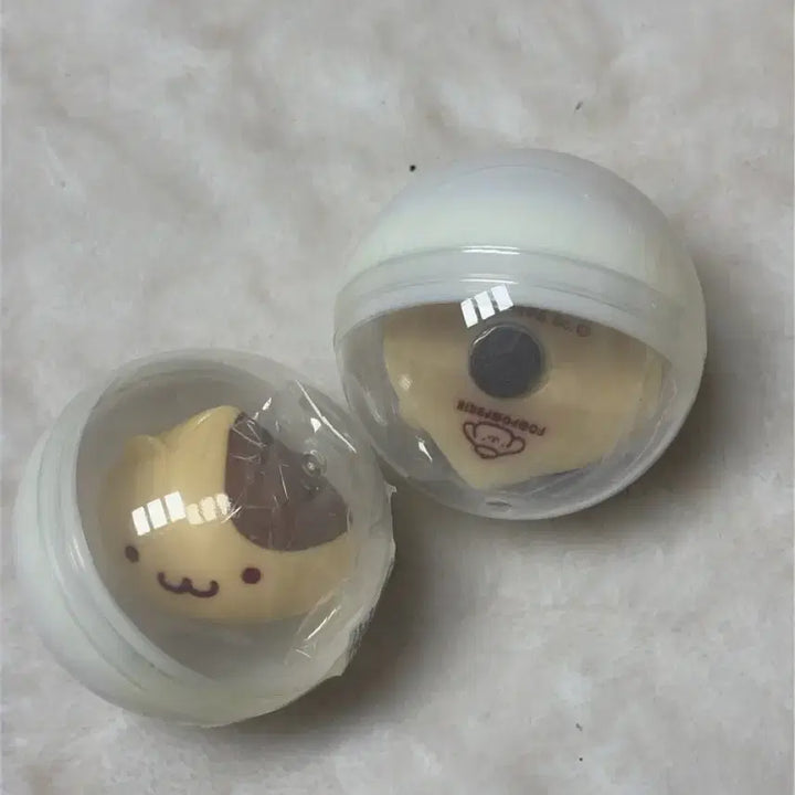 [BUNJANG] Muffin Pompompurin Angmandu Magnet Gacha / [머핀] 폼폼푸린 와앙만두 팝업 만두 마그넷 자석 가챠