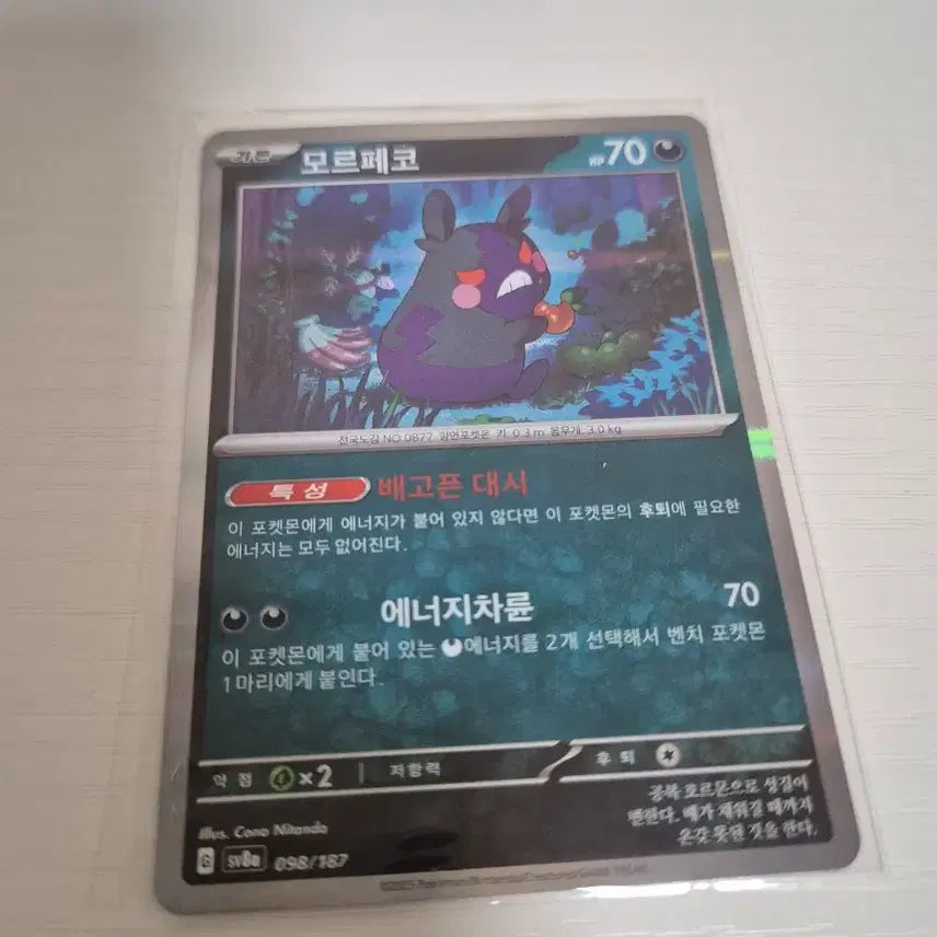 [BUNJANG] Pokemon Terrastal Card Morpeko / 포켓몬 테라스탈 카드 모르페코