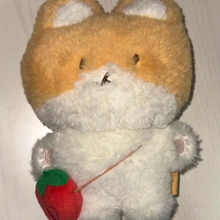 [BUNJANG] Baekhyun Strawberry Bear 20cm Doll / 백현 딸기 터래기 인형 20cm