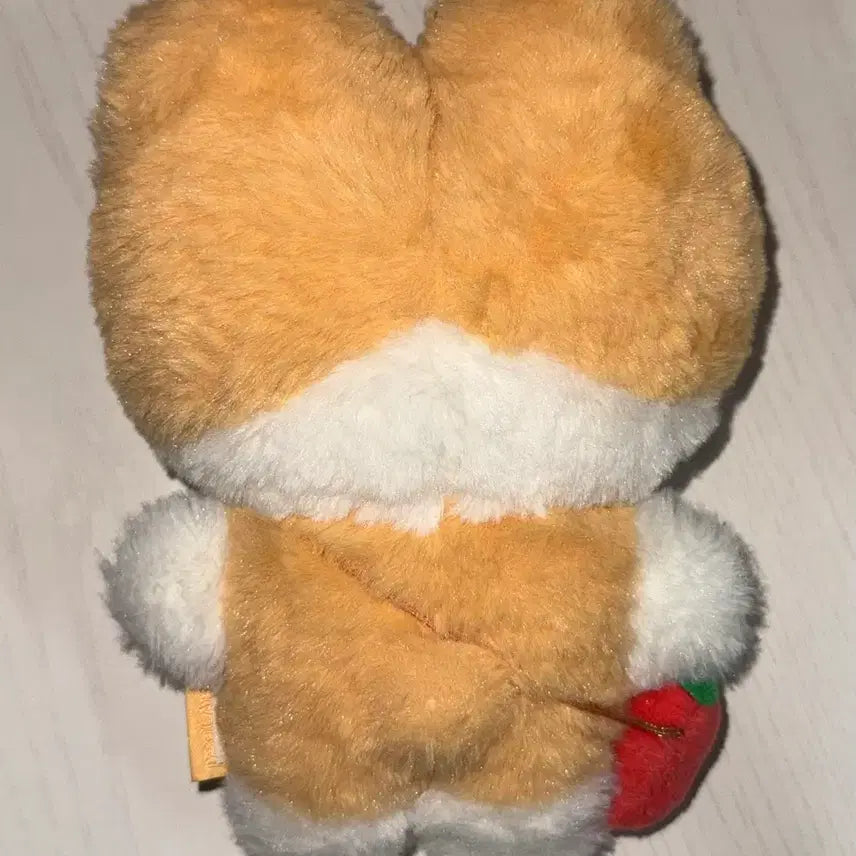 [BUNJANG] Baekhyun Strawberry Bear 20cm Doll / 백현 딸기 터래기 인형 20cm