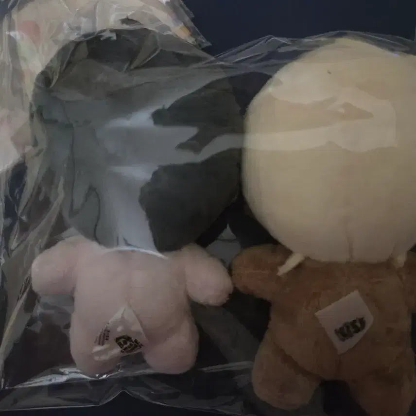 [BUNJANG] Baekya Spring Sweet Home Plushie Bundle Set / 백야의 꽃길 봄 스윗 홈 뽀시래기 솜인형 백야 특전