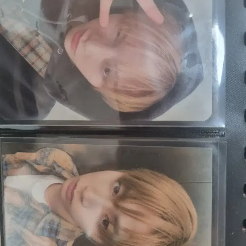 [BUNJANG] BOYNEXTDOOR Taesan Photocard / 보넥도 태산 포토카드