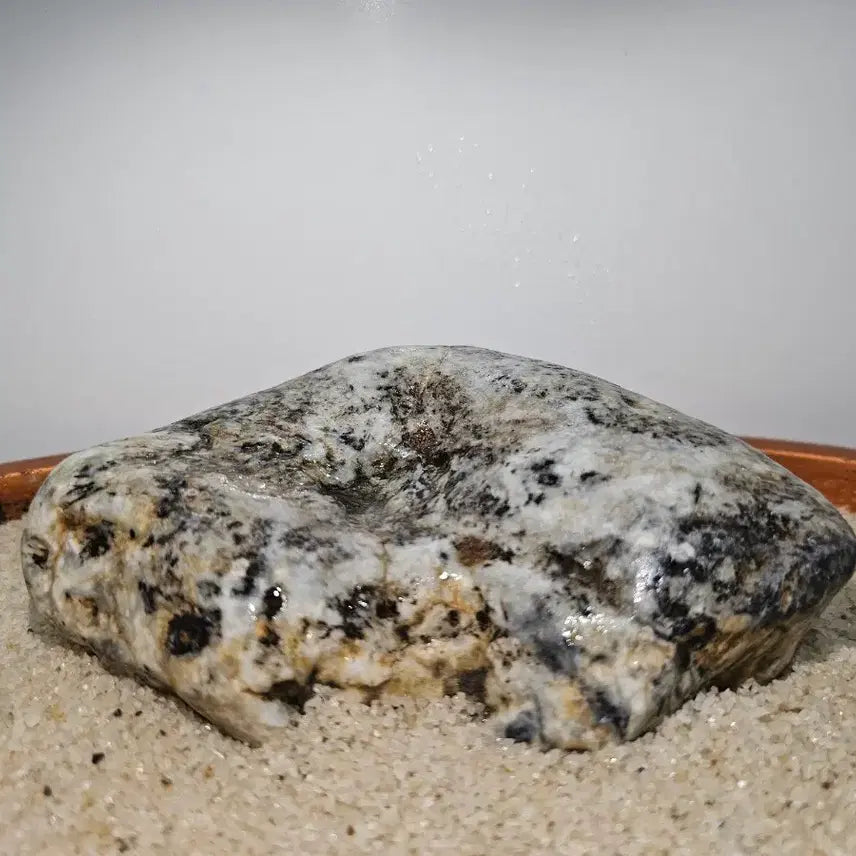[BUNJANG] Chief Natural Stone Water-Holding Leopard Stone / 수석 자연석 물고임 호피석 크기 14센치 정도