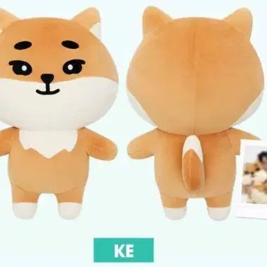 [BUNJANG] DAY6 Young K Denimals Giant Doll / [미개봉] 데이식스 자이언트 데니멀즈 자멀 케 인형 양도