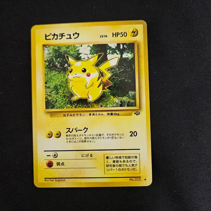 [BUNJANG] Pokemon Card Jungle Set Pikachu (Japanese) / [일판]포켓몬카드 올드백 빈티지 정글 피카츄