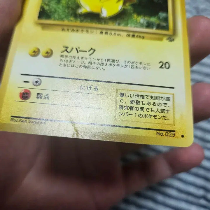 [BUNJANG] Pokemon Card Jungle Set Pikachu (Japanese) / [일판]포켓몬카드 올드백 빈티지 정글 피카츄