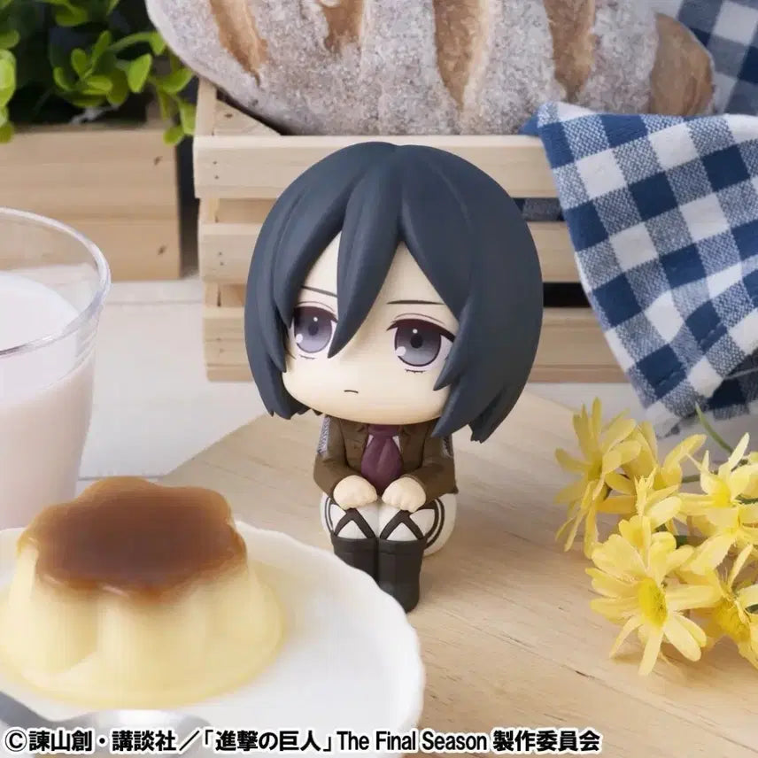 [BUNJANG] Mikasa Ackerman Look Up Figure (Special Edition) / 미개봉, 특전 O) 미카사 룩업 판매