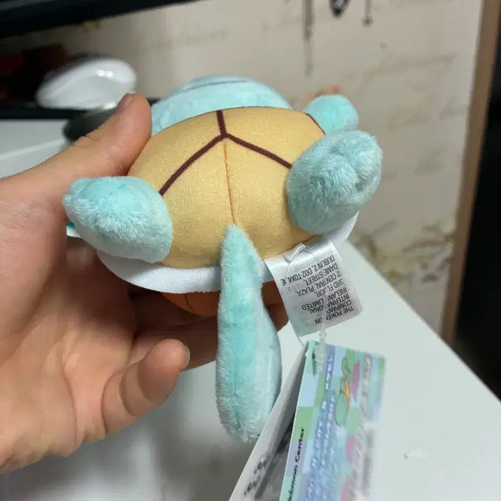 [BUNJANG] Ditto Transformation Squirtle Pokemon Plush / 변신메타몽 꼬부기 포켓몬 택0